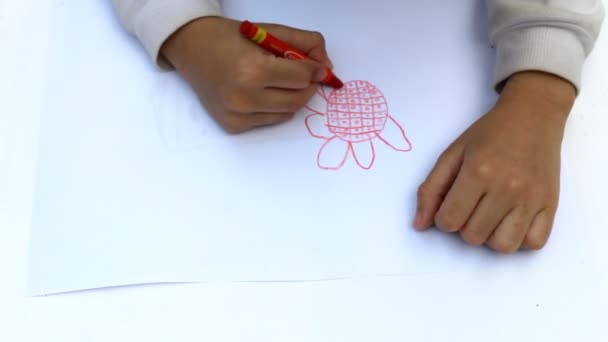Boy drawing with crayons — Stock Video